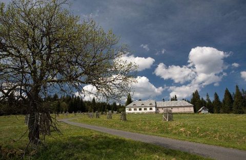 Rozložitý strom a šumavské stavení pod oblohou s mraky