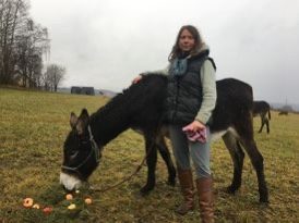 Oslíci na podzimní pastvině nad vsí